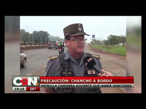 Un chancho gigante viajó como pasajero en un taxi