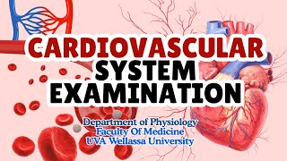 Cardiovascular System Examination 🫀 | Step-by-Step