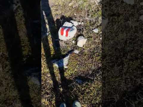 3 Länder Enduro - Beste 😍