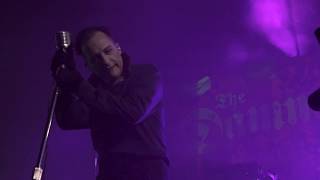 The Damned - Jet Boy, Jet Girl, Burger Boogaloo 2018 &amp; PressureDrop.tv