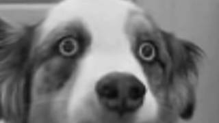 Why are we still here, just to suffer