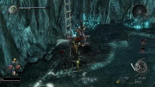 Nioh Finders Keepers