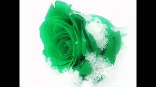 The best time in my life...Story men love