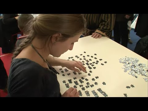 Experts en puzzle
