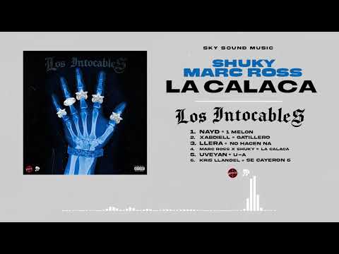 SKY SOUND MUSIC LLC and Sky The Phvntom