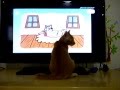Kitten Watching Elmo