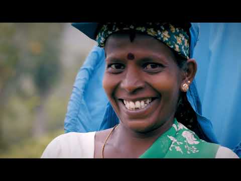 Dilmah Tea - The First Producer-owned Tea Brand