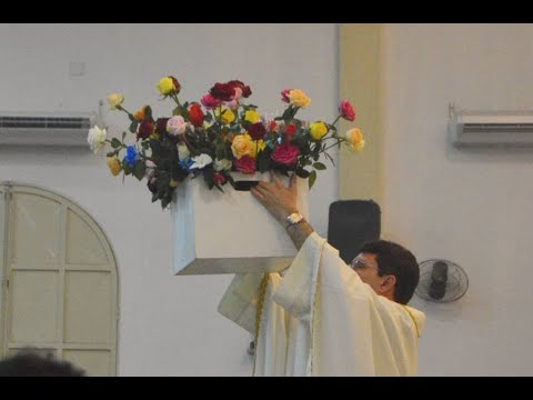 AS TRIBULAÇÕES NOS SANTIFICAM - HOMILIA MISSA DAS ROSAS 01/11/2020 🌹