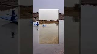 Cover art for planex Miss the rage