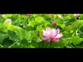 Pillaiyar Suzhi Pottu Vinayagar Songs Devotional Palavinayagar Vinayakar Ganapathi Onbath