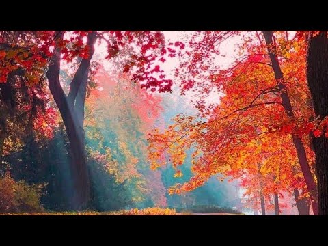 untold greatest nature wonders around the world - uncut documentary 4k#nature #youtubevideos