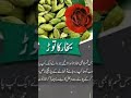 Shorts Trending Videos Bukhar Ka Ilaj Tibb E Shefa