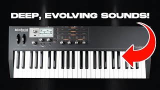 Waldorf Blofeld: The Ultimate Budget Techno Synth?