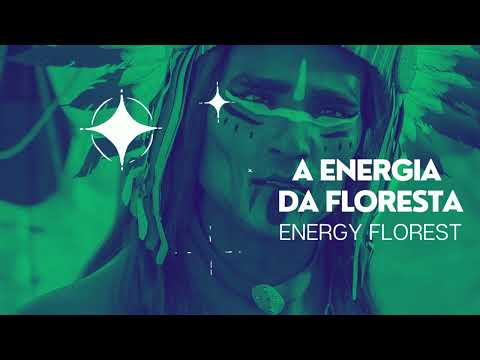 ENERGIA DA FLORESTA - ENERGY FLOREST