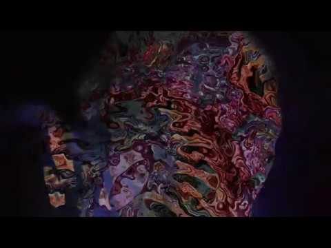 zdechły osa - niemuszeuciekacwcale / vfx: zeden