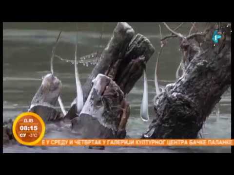 Belocrkvanske istine i legende o zlatu i blatu