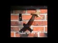 Mike Oldfield - SHADOW ON THE WALL (Vocals ...