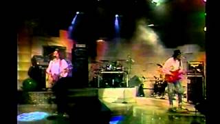 LA MURALLA VERDE (ENANITOS VERDES) 1988