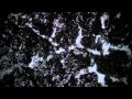Tindersticks: Can Our Love..