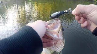 ONE BIG BASS! Loon Whopper Plopper - New Lake Grind
