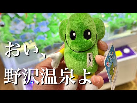 野沢温泉のクレーンゲームでナスキーとるのむずすぎる。