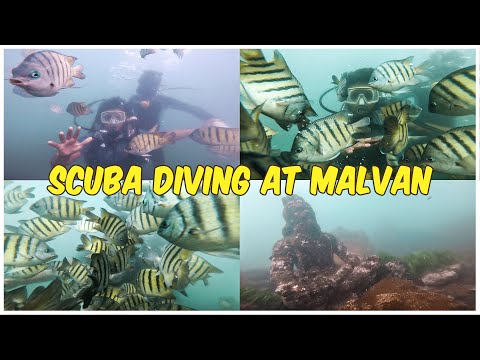 Tried Scuba Diving For The First Time, Malvan | Snehit Patil