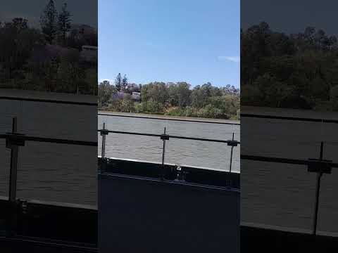Thumbnail for Cruising 🛳 the Brisbane River