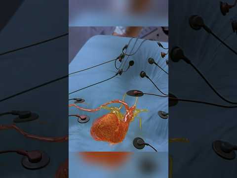 🧪👁️ The Invisible Man’s Deadly Transformation | Hollow Man (2000) ⚠️💉