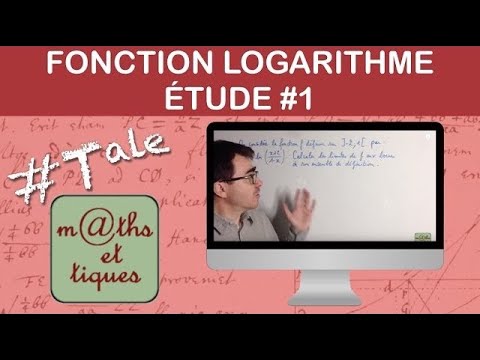 Studying a 1/3 logarithm function: Limits - Terminal