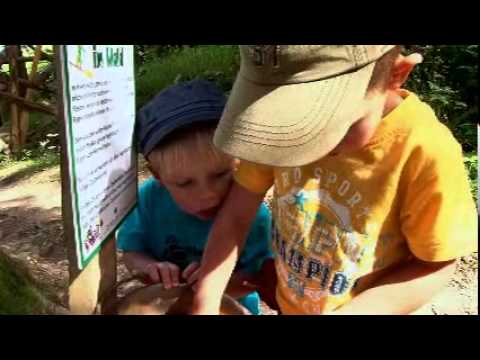 Wirzweli Hexenspielplatz & Hexenweg