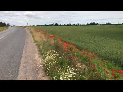 Įspūdis. Laižuva. LRT radijas aplink Lietuvą