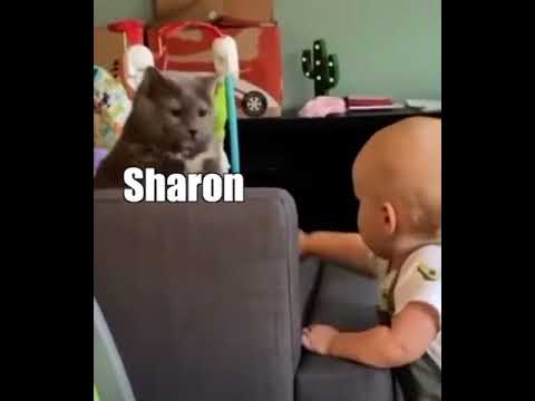 Sharon your kids trying to pet me and he stinks..