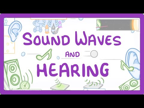 GCSE Physics - Sound Waves and Hearing #73