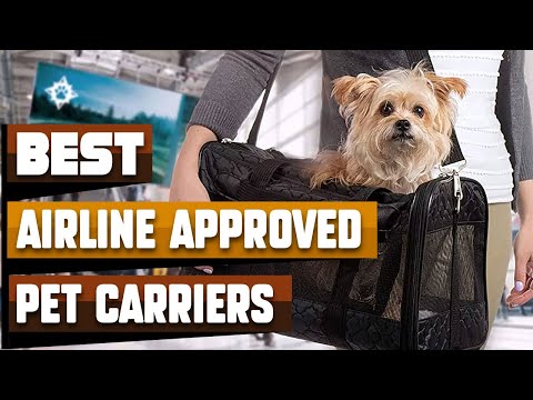 Best Airline Approved Pet Carrier In 2021 - Top 10 Airline Approved Pet Carriers Review
