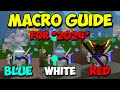 *BEST* Macro GUIDE For 2024! (All Hives!) | Roblox Bee Swarm Simulator