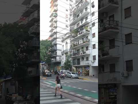Calle Laprida Barrio Norte #argentina #buenosaires #walking #shorts #walk #walkthrough #shortvideo