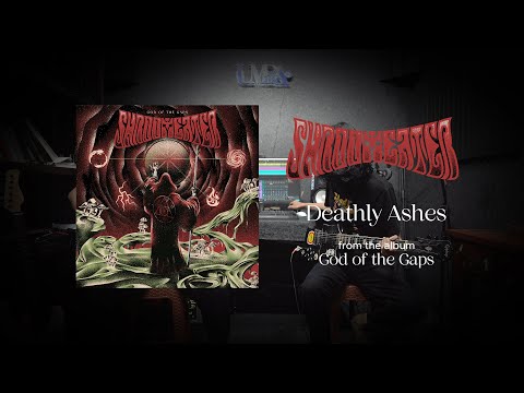 Shroom Eater - Deathly Ashes (Guitar Playthrough)