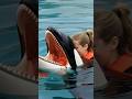 ORCA EATS TRAINER JESSICA RADCLIFFE SHOCKING FOOTAGE CAUGHT ON CAMERA Orca Attack Jessica