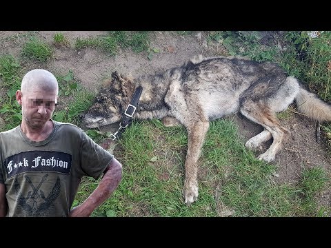 Sposoby powiększania penisa Dziewczyny, które lubią facetów z małym penisem