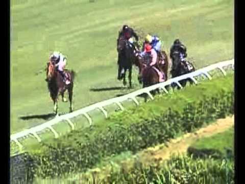 Premio Alberto Giubilo 2006 (Roma, Listed race)