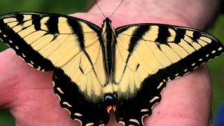 She&#39;s Mine by Brett Dennen