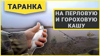 Рыбалка в краснодарском крае канал молочный