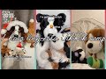 1 Hour Long Essa TikTok Comp None Are Mine Credits To Original Owners Thanks For Almost 1k