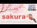 Sakura - Japanese Cherry Blossom Song さくら