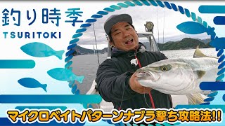【釣り時季】マイクロベイトパターンナブラ撃ち攻略法!!
