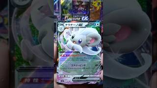 Cinccino ex #ninjaspinner #chaosrising #pokemon #pokemoncards #pokemontcg #pokemongo