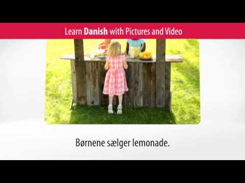 Learn Danish Vocabulary with Pictures and Video - Don't Shop in Danish Without These Words