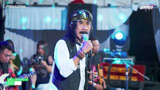 Download lagu PRIMADONA - AIR MATA TIADA ARTI - MR  BLACK - WEDDING AMAR & FANISA - TENGGULI mp3