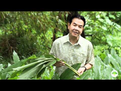 Kung paano kumain sa mawala timbang pagkatapos ng panganganak, at ang gatas ay nawawala Lakas ng pagsasanay para sa pagbaba ng timbang complex