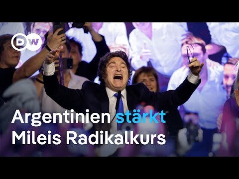 Reformen mit der Kettensäge: Argentinier bestätigen libertäre Politik des Präsidenten Milei
